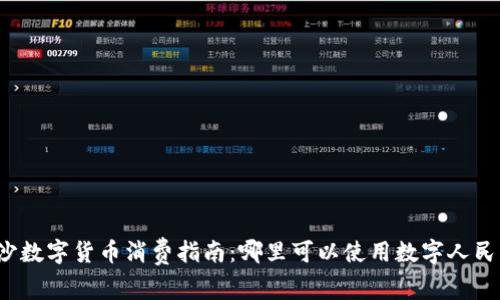 长沙数字货币消费指南：哪里可以使用数字人民币？