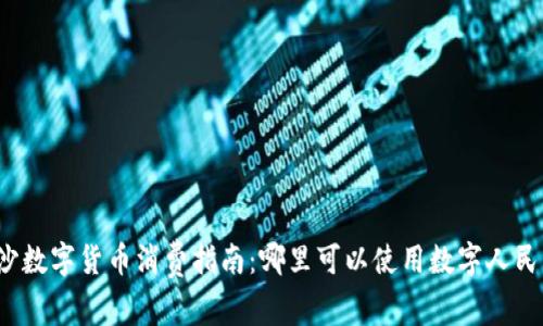 长沙数字货币消费指南：哪里可以使用数字人民币？