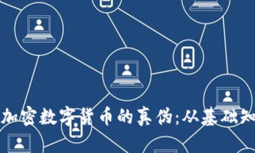 如何有效辨别加密数字货币的真伪：从基础知识到实用技巧