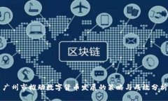 广州市推动数字货币发展的策略与成效分析