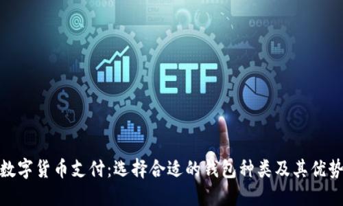 数字货币支付：选择合适的钱包种类及其优势