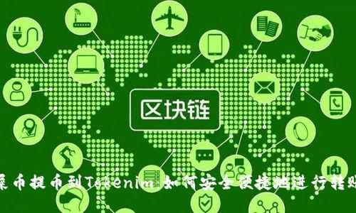 屎币提币到Tokenim:如何安全便捷地进行转账