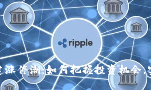 数字货币基建涨停潮:如何把握投资机会,实现财富增值