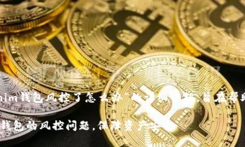 以下是关于“tokenim钱包风控了怎么办”的详细介绍，旨在帮助并应对这种情况。

如何应对Tokenim钱包的风控问题，保障资产安全