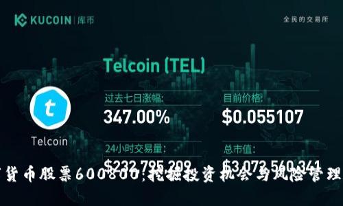 数字货币股票600800:挖掘投资机会与风险管理指南