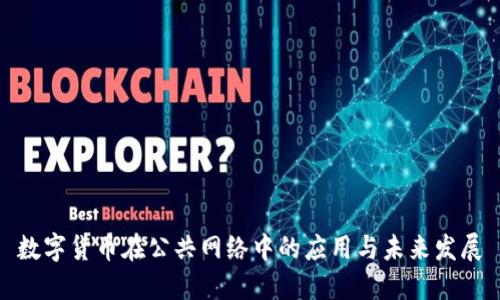 数字货币在公共网络中的应用与未来发展