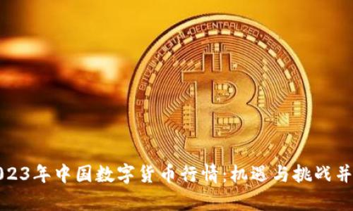 2023年中国数字货币行情:机遇与挑战并存