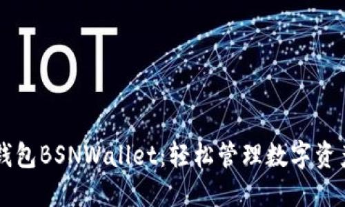 以太坊钱包BSNWallet:轻松管理数字资产的利器
