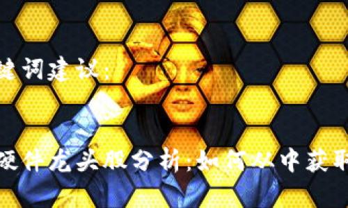 好的和关键词建议:
数字货币硬件龙头股分析:如何从中获取可观收益