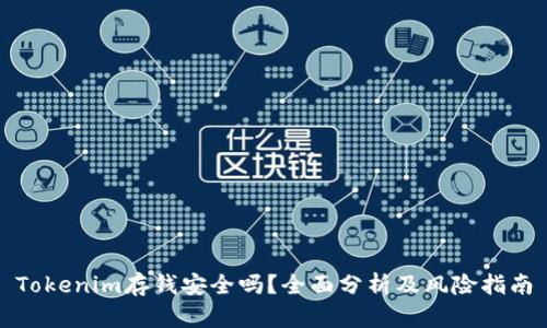 Tokenim存钱安全吗？全面分析及风险指南