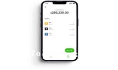 国内手机如何下载Tokenim：详细教程与注意事项