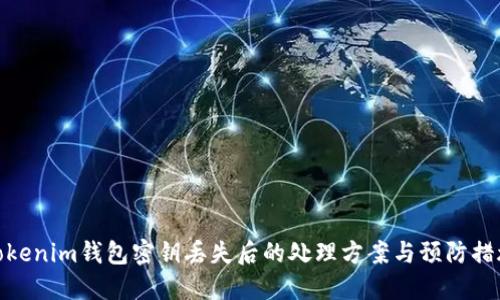 Tokenim钱包密钥丢失后的处理方案与预防措施