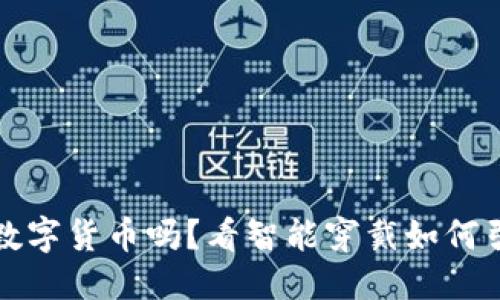 标记
华为手表支持数字货币吗？看智能穿戴如何引领新支付时代