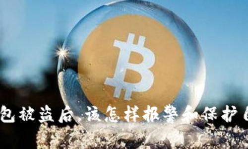 Tokenim钱包被盗后，该怎样报警和保护自己的资产？