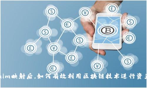 Tokenim映射后，如何有效利用区块链技术进行资产管理