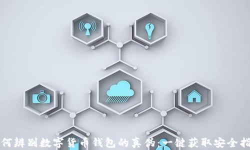 
如何辨别数字货币钱包的真伪：一键获取安全指南