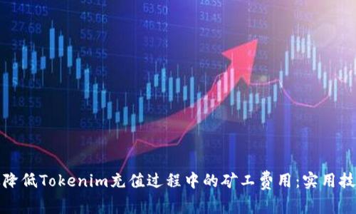 如何有效降低Tokenim充值过程中的矿工费用：实用技巧与策略