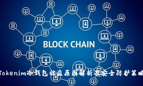 Tokenim冷钱包被盗原因解析及安全防护策略