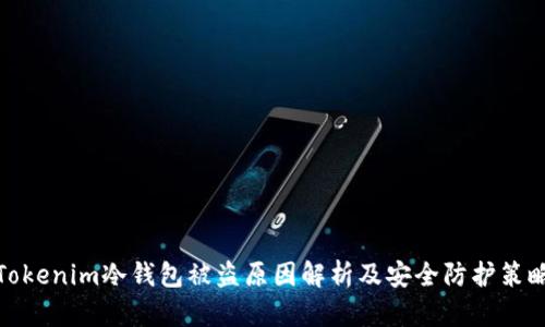 Tokenim冷钱包被盗原因解析及安全防护策略