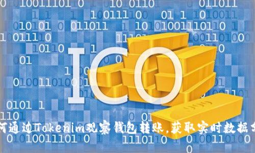 如何通过Tokenim观察钱包转账,获取实时数据分析