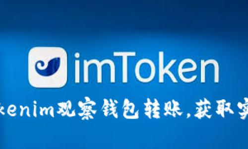 如何通过Tokenim观察钱包转账,获取实时数据分析