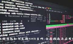以太坊钱包如何支持AMB主网：全面指南与应用实