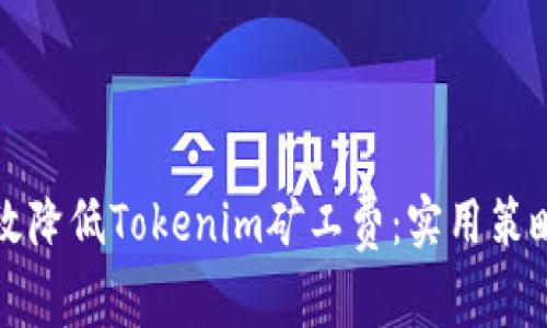 如何有效降低Tokenim矿工费:实用策略与技巧