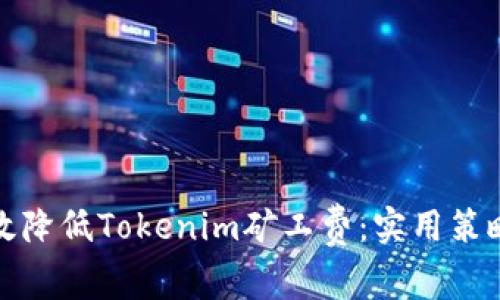 如何有效降低Tokenim矿工费:实用策略与技巧