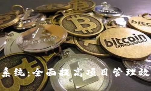 解密Tokenim系统：全面提高项目管理效率的解决方案