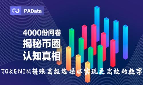 如何使用TOKENIM转账高级选项以实现更高效的数字资产管理
