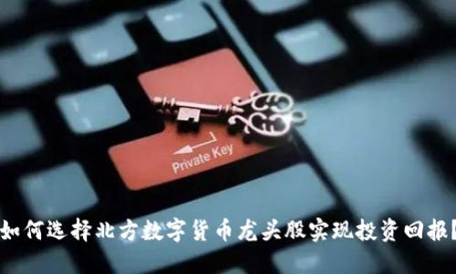 如何选择北方数字货币龙头股实现投资回报？