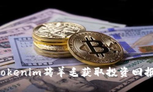 如何通过Tokenim薅羊毛获取投资回报：全面指南