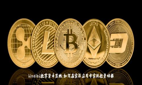 bineled数字货币落地：如何在实际应用中实现投资回报