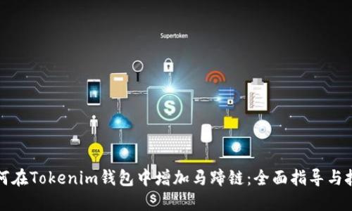 如何在Tokenim钱包中增加马蹄链：全面指导与技巧