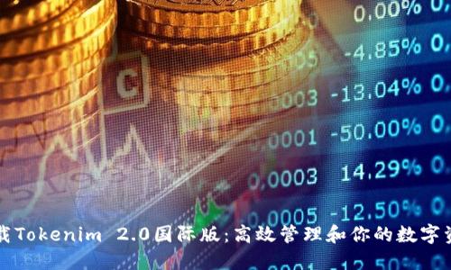 下载Tokenim 2.0国际版：高效管理和你的数字资产