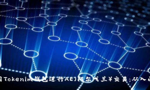 如何使用Tokenim钱包进行AE（阿尔戈兰）交易：从入门到精通