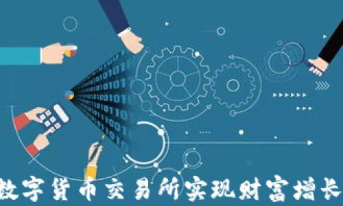 
如何通过数字货币交易所实现财富增长：新手指南