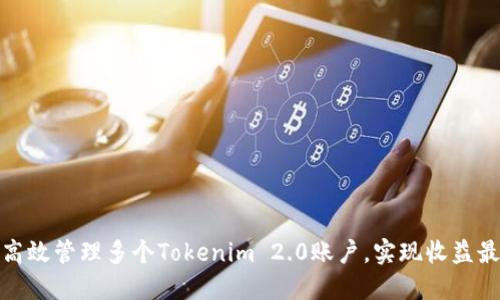 如何高效管理多个Tokenim 2.0账户，实现收益最大化
