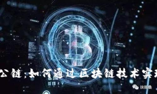 b揭秘Tokenim公链：如何通过区块链技术实现去中心化创新