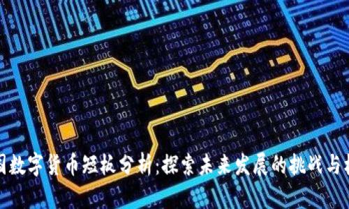 中国数字货币短板分析：探索未来发展的挑战与机遇