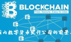 探寻国内数字货币发行公司的前景与挑战