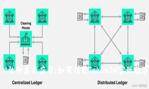 全面解析TokenIM的种类与应用:如何利用TokenIM实现数字资产的高效管理