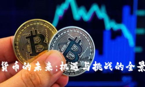 数字货币的未来:机遇与挑战的全景分析