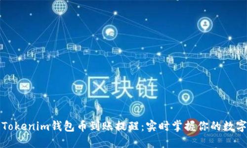 如何设置Tokenim钱包币到账提醒:实时掌握你的数字资产动态
