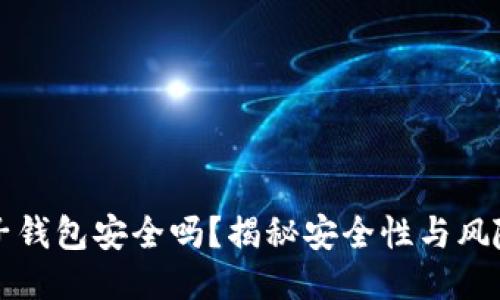 以太坊电子钱包安全吗?揭秘安全性与风险管理策略