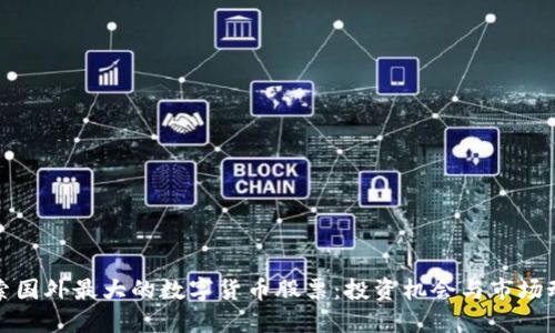 探索国外最大的数字货币股票：投资机会与市场动态