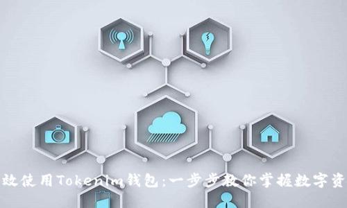 如何高效使用Tokenim钱包:一步步教你掌握数字资产管理