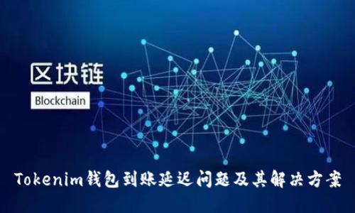 Tokenim钱包到账延迟问题及其解决方案