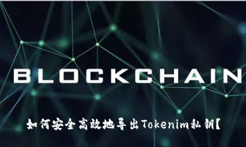 如何安全高效地导出Tokenim私钥?