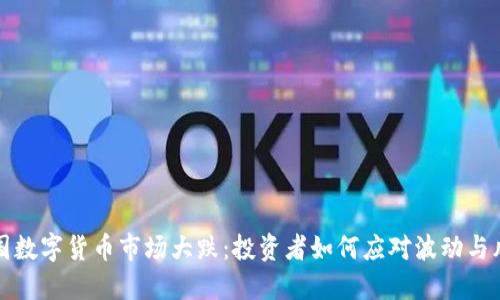 韩国数字货币市场大跌:投资者如何应对波动与风险